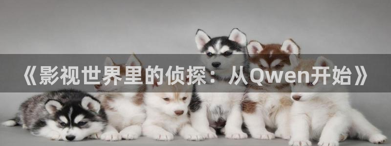 沂水麥田影城：《影視世界里的偵探：從Qwen開始》