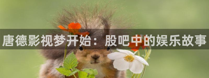 麥田影院下載：唐德影視夢(mèng)開始：股吧中的娛樂故事